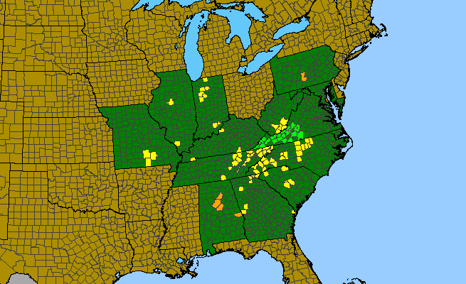 The range of Berberis canadensis